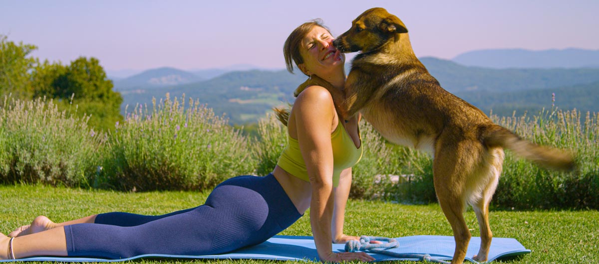 A woman being interrupted mid-yoga pose by her dog