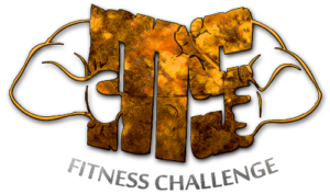 MS Fitness Challenge logo