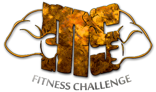 MS Fitness Challenge logo